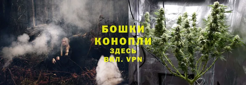 mega как зайти  Гагарин  Бошки Шишки White Widow 